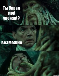 Ты Украл мой урожай? возможно 