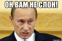 он вам не слон! 