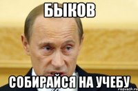 быков собирайся на учебу