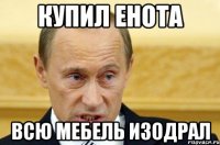 купил енота всю мебель изодрал