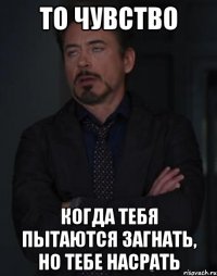 то чувство когда тебя пытаются загнать, но тебе насрать