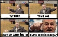 тут Енот там Енот кругом одни Еноты вы че все ебанулись?