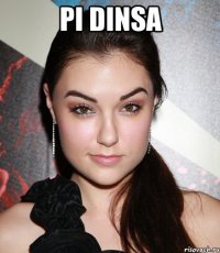 pi dinsa 