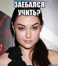 заебался учить? 