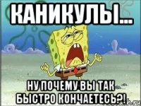 каникулы... ну почему вы так быстро кончаетесь?!