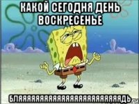 какой сегодня день воскресенье бляяяяяяяяяяяяяяяяяяяяяяяядь