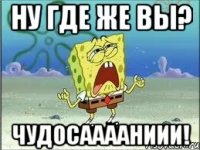 ну где же вы? чудосааааниии!