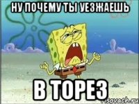 ну почему ты уезжаешь в торез