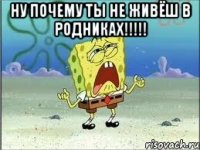 ну почему ты не живёш в родниках!!! 