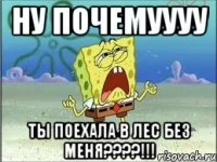 ну почемуууу ты поехала в лес без меня???!!!