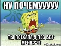 ну почемууууу ты поехала в лес без меня??!!