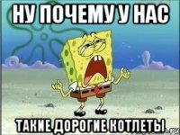 ну почему у нас такие дорогие котлеты