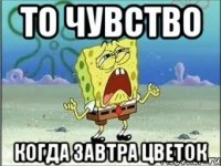 то чувство когда завтра цветок