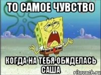 то самое чувство когда на тебя обиделась саша