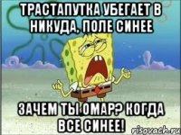 трастапутка убегает в никуда, поле синее зачем ты омар? когда все синее!