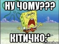 ну чому??? кітичко:*