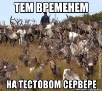 тем временем на тестовом сервере