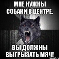 мне нужны собаки в центре, вы должны выгрызать мяч!