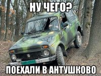 ну чего? поехали в антушково