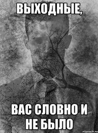 выходные, вас словно и не было