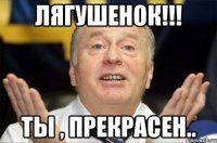 лягушенок!!! ты , прекрасен..