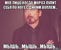 моё лицо,когда мороз лупит себя по ноге с диким воплем... мышь...мышь...мышь...