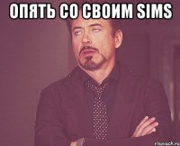 опять со своим sims 