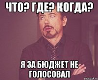 что? где? когда? я за бюджет не голосовал