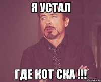 я устал где кот ска !!!