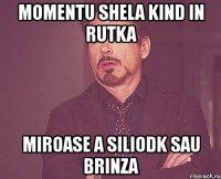 momentu shela kind in rutka miroase a siliodk sau brinza