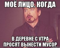 моё лицо, когда в деревне с утра просят вынести мусор