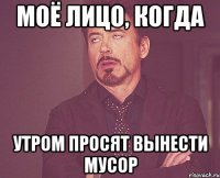 моё лицо, когда утром просят вынести мусор