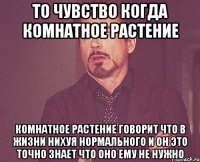 то чувство когда комнатное растение комнатное растение говорит что в жизни нихуя нормального и он это точно знает что оно ему не нужно