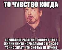 то чувство когда комнатное растение говорит что в жизни нихуя нормального и он это точно знает что оно ему не нужно