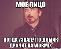 моё лицо когда узнал,что домик дрочит на wormix