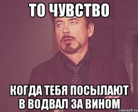 то чувство когда тебя посылают в водвал за вином