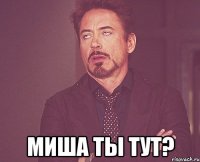  миша ты тут?