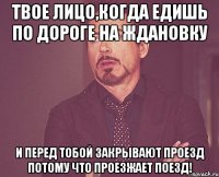 твое лицо,когда едишь по дороге на ждановку и перед тобой закрывают проезд потому что проезжает поезд!