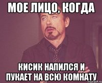 мое лицо, когда кисик напился и пукает на всю комнату