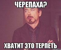 черепаха? хватит это терпеть