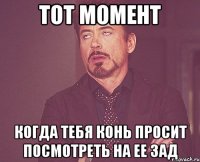 тот момент когда тебя конь просит посмотреть на ее зад