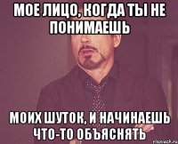 мое лицо, когда ты не понимаешь моих шуток, и начинаешь что-то объяснять