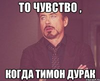 то чувство , когда тимон дурак