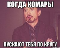 когда комары пускают тебя по кругу