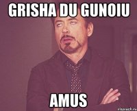 grisha du gunoiu amus