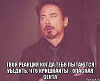  твоя реакция когда тебя пытаются убедить, что кришнаиты - опасная секта