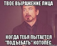 твое выражение лица когда тебя пытается "подъебать" котопёс.