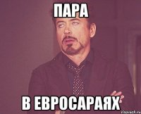 пара в евросараях