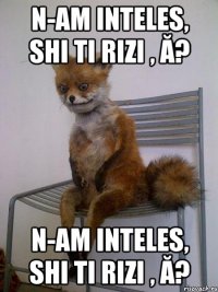 n-am inteles, shi ti rizi , ă? n-am inteles, shi ti rizi , ă?