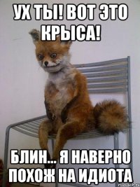 ух ты! вот это крыса! блин... я наверно похож на идиота